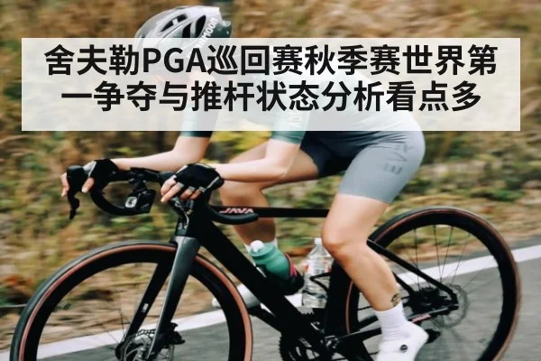 舍夫勒PGA巡回赛秋季赛世界第一争夺与推杆状态分析看点多