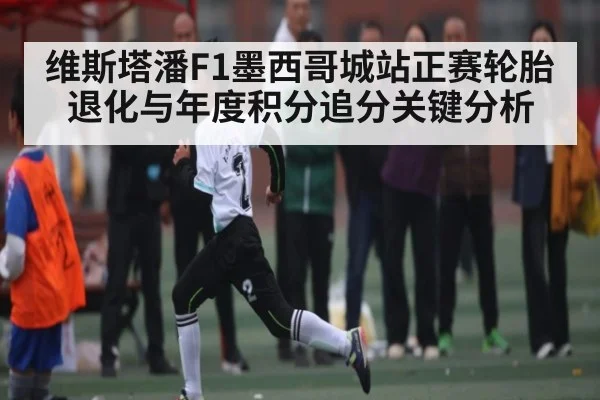 维斯塔潘F1墨西哥城站正赛轮胎退化与年度积分追分关键分析